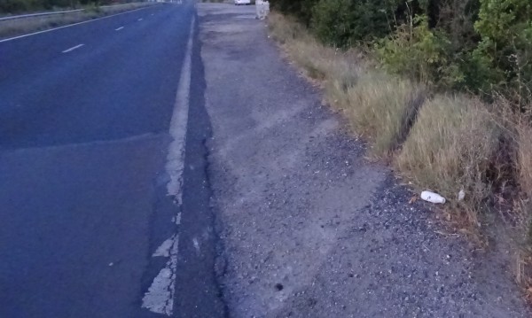 Кола се удари в камион с коне на пътя София – Варна