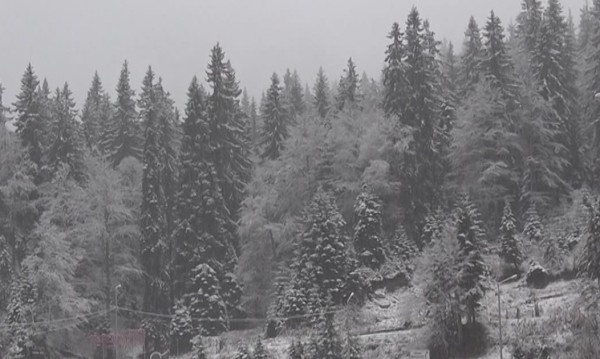 10 см нов сняг наваля на Пампорово за ден