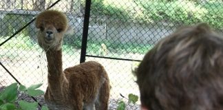 Уикенд почивка на планина ни струва около 200 лв.