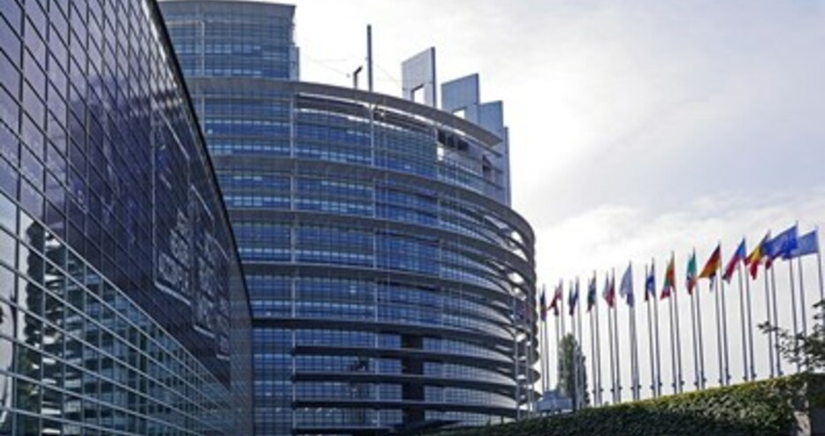 На среща в ЕП обсъждат нередности в усвояването на евросредствата в Българи