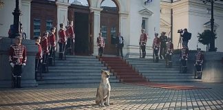 Народът каза тежката си дума! Ето кого искат за шеф на парламента / ВИДЕО