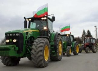 Земеделието ни е пред колапс заради вноса на украинско зърно: земеделският министър в писмо до ЕК