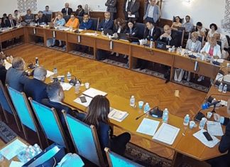 Мачкат Конституцията: Правната комисия в НС отхвърли референдума на „Възраждане“ за запазване на лева