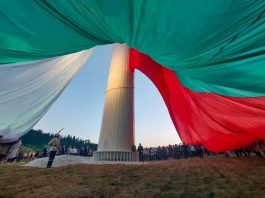 Българското гражданство ще се отнема за уронване на престижа на институциите