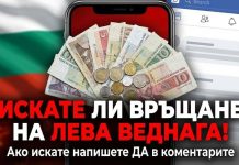 Провеждат референдум за еврото!? ЗА или Против сте!?